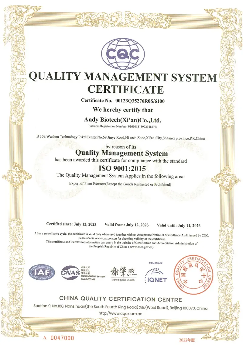 Export Customs Certification