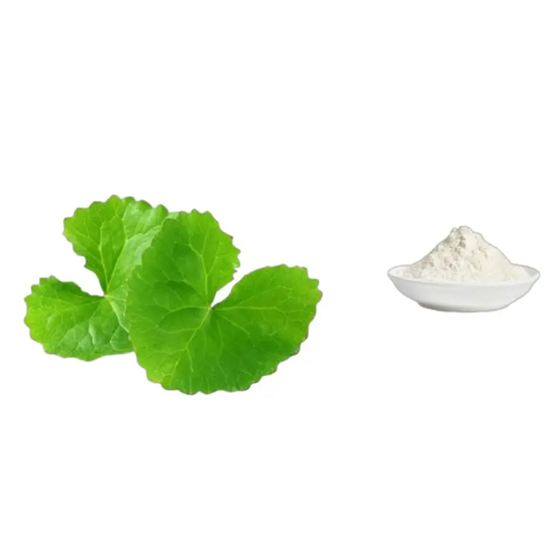 Best 10%-90% Asiaticoside Powder Hydrocotyle Asiatica Extract/Gotu Kola Extract for Skin Care Manufacturer, Suppliers