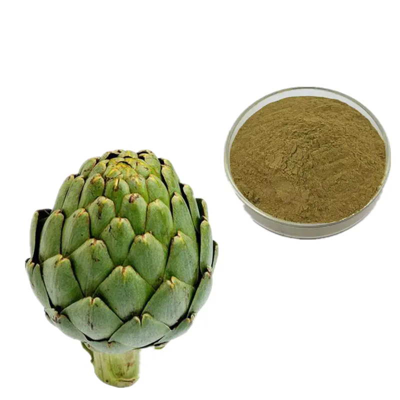 China Premium Natural Artichoke(Cynara Scolymus) Leaf Extract High Chlorogenic acid Powder for Health Supplements Supplier, Suppliers
