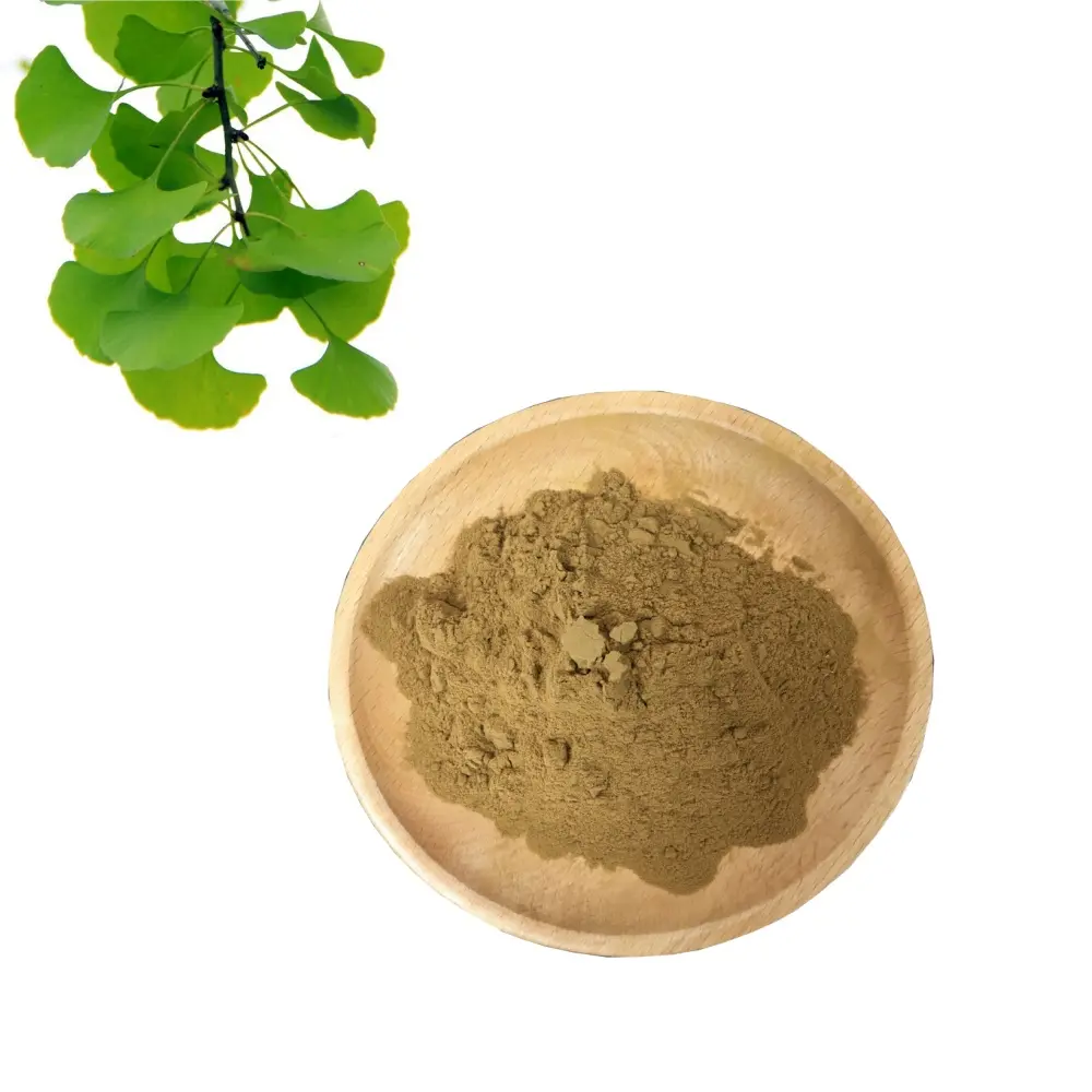 Wholesale ISO Kosher Halal Certified 24% Total Flavonol Glycosides  6% Terpene Lactones Ginkgo Biloba Extract for Health Supplement Manufacturer, Exporters