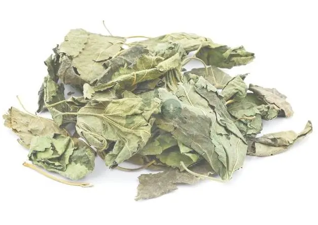 Mulberry Leaf Extract in Tea