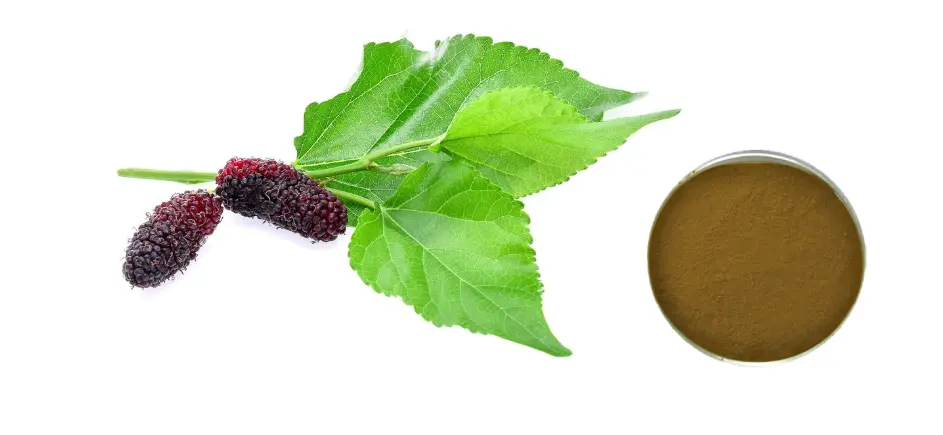 Mulberry leaf extract