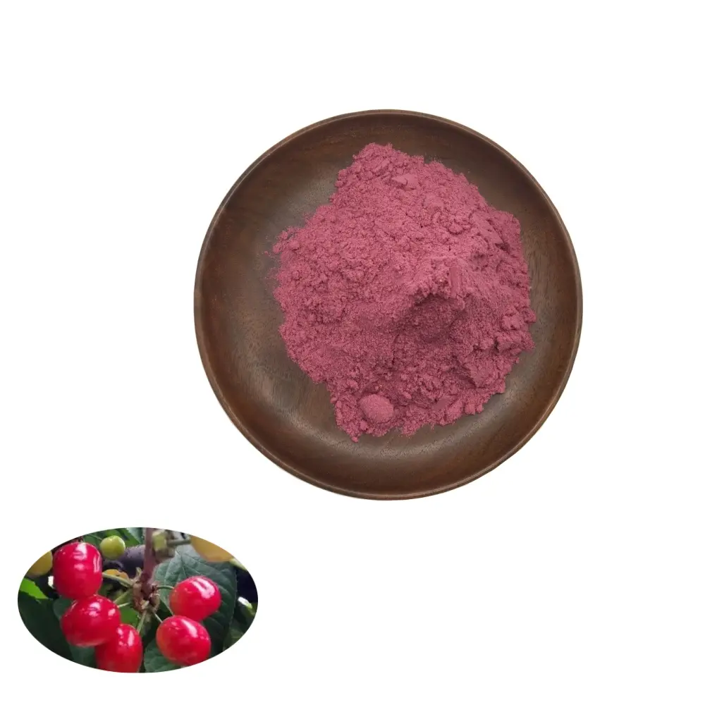 Wholesale Water Soluble Montmorency Sour (Tart) Cherry Spray Dried Fruit Powder for Food & Beverage Suppliers, Exporters