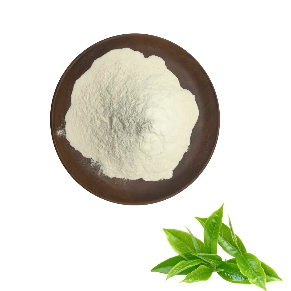 Best Premium Water Soluble Green Tea Extract with High EGCG & Polyphenols Powder for Health Supplements Manufacturer, Exporter