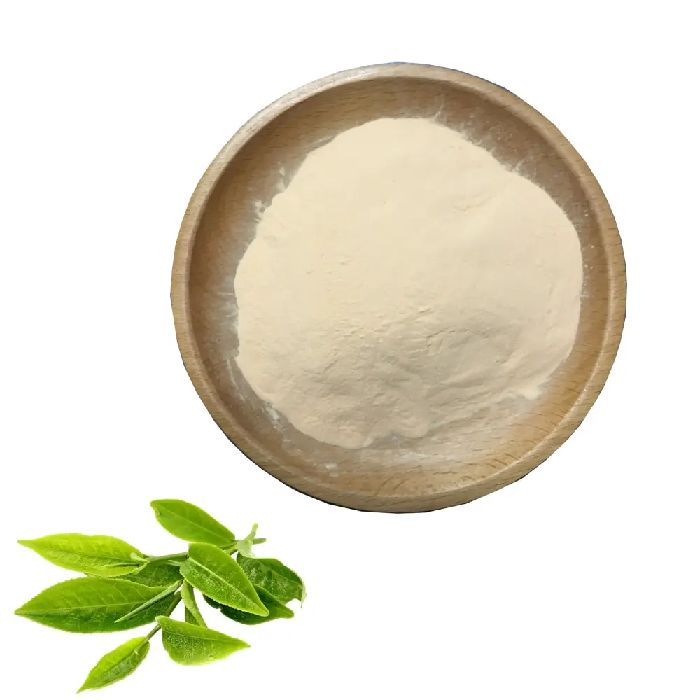 Best Premium Water Soluble Green Tea Extract with High EGCG & Polyphenols Powder for Health Supplements Manufacturer, Exporter