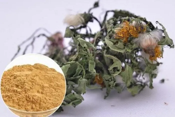 Dandelion extract in powder