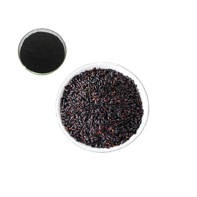 Black Rice Extract Powder