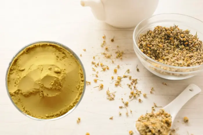 Dandelion extract raw material