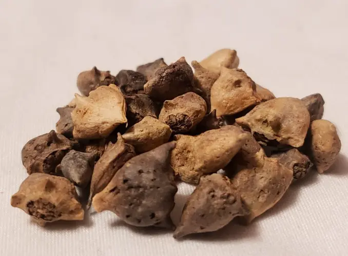 Tannic Acid Application