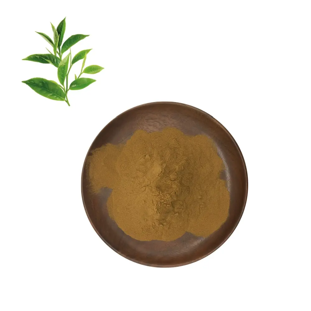 Best Premium Water Soluble Green Tea Extract with High EGCG & Polyphenols Powder for Health Supplements Manufacturer, Exporter