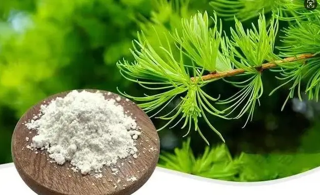 Dihydroquercetin extract