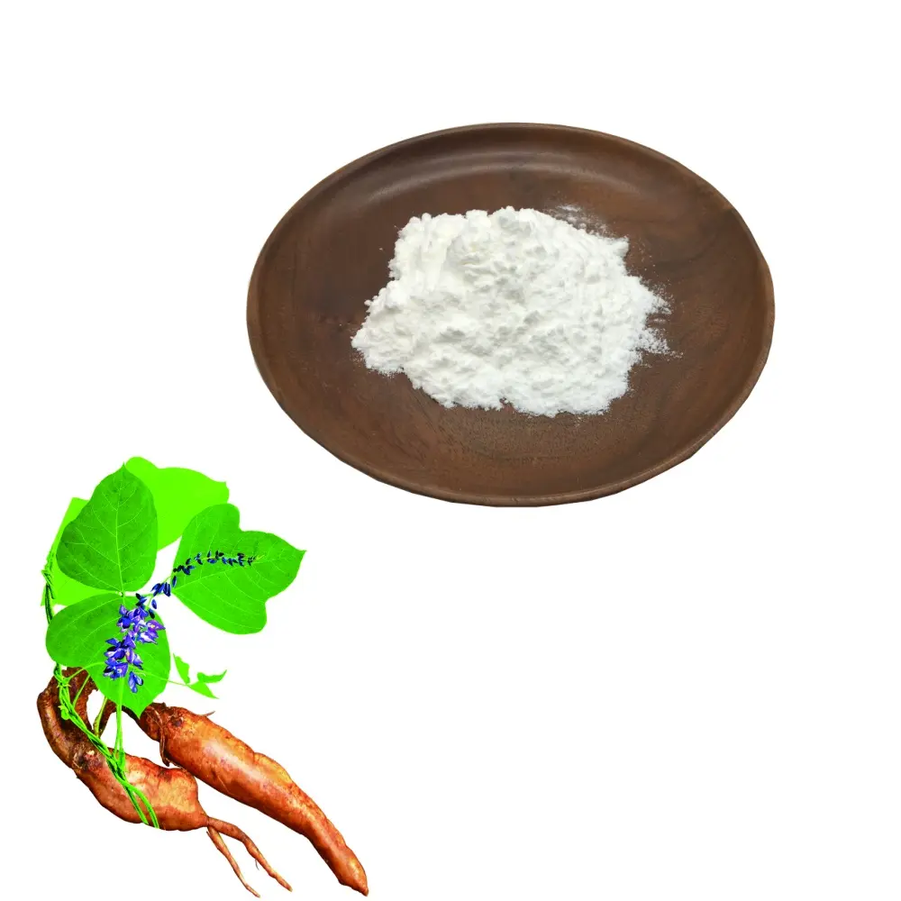 Best High Quality Puerarin 10%-98% Kudzu Root Extract /Pueraria Lobata Extract/ Pueraria Extract Powder for Health and Wellness Manufacturer, Factories