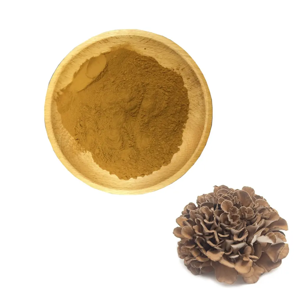 Best Factory Supply Food Grade Maitake Mushroom Extract Bulk Raw Material Polysaccharides Powder for Daily Wellness Formulations Manufacturer, Suppliers