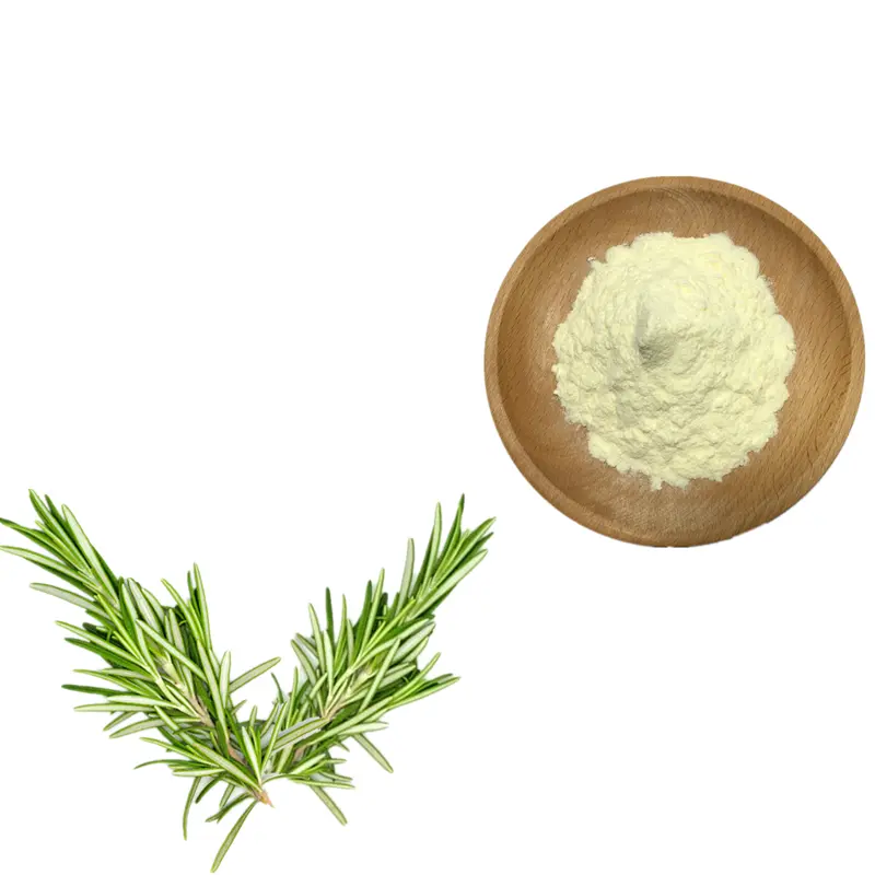 China Natural Antioxidant Rosemary Leaf Extract Ursolic Acid Powder – China Factory Suppliers for Health Foods Manufacturers, Suppliers