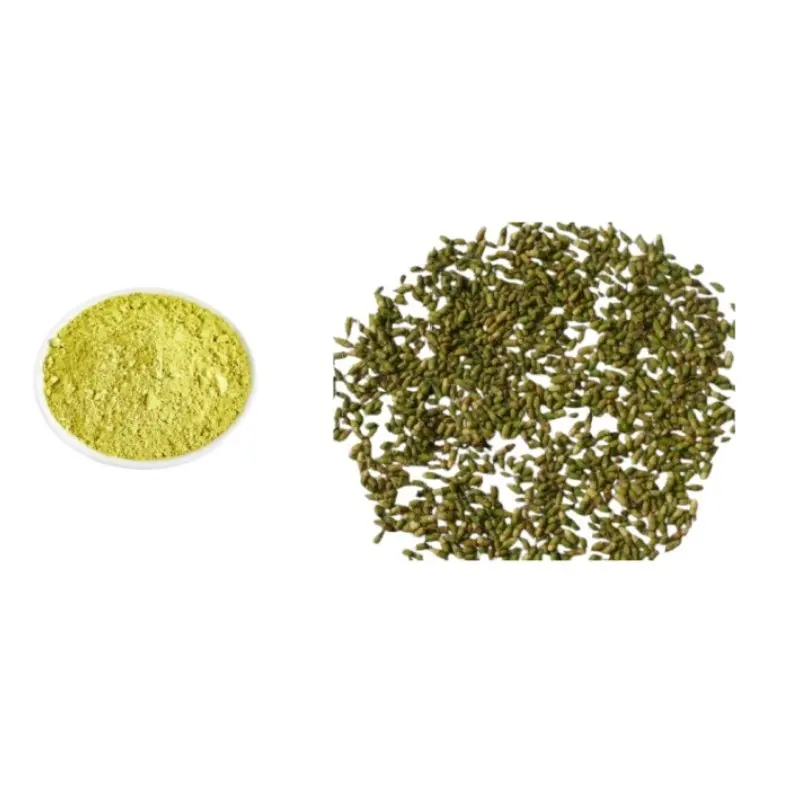 Quercetin powder antimicrobial properties