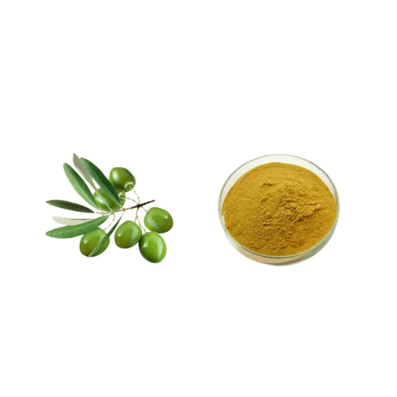 Best Natural 5%~70% Oleuropein/Maslinic Acid/Hydroxytyrosol Olive leaf Extract for Cardiovascular Support and Blood Pressure Management Suppliers, Exporters