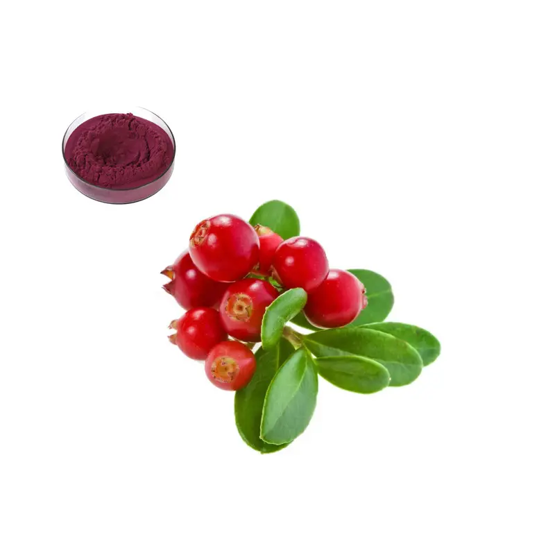 China Natural Lyophilized Anthocyanidins Bilberry Extract European Bilberry Fruit Extract Powder Protect Your Eyesight Manufacturer, Factories