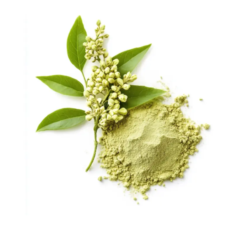 Wholesale Natural Sophora Japonica Extract 98% Quercetin Anhydrous/ Dihydrate Pure Quercetin Powder