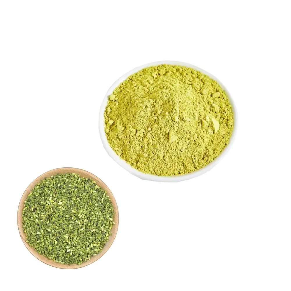 Best Bulk Quercetin Dihydrate 98 Quercetin Powder Sophora Japonica Extract CAS 6151-25-3 for Immune Support & Cellular Health Supplier, Exporter