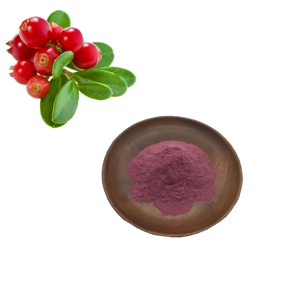 China Food Grade Bilberry Powder Rich in Anthocyanins for Eye Health Manufacturer, Exporter