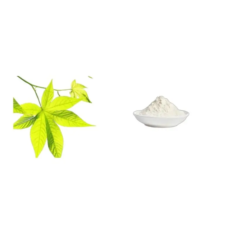 Best Manufacturer Supply Water-Soluble Sweet Tea Extract Rubusoside Powder with CAS 64849-39-4 Tian Cha Extract for High Sweetness Sugar Substitute Manufacturers, Factories