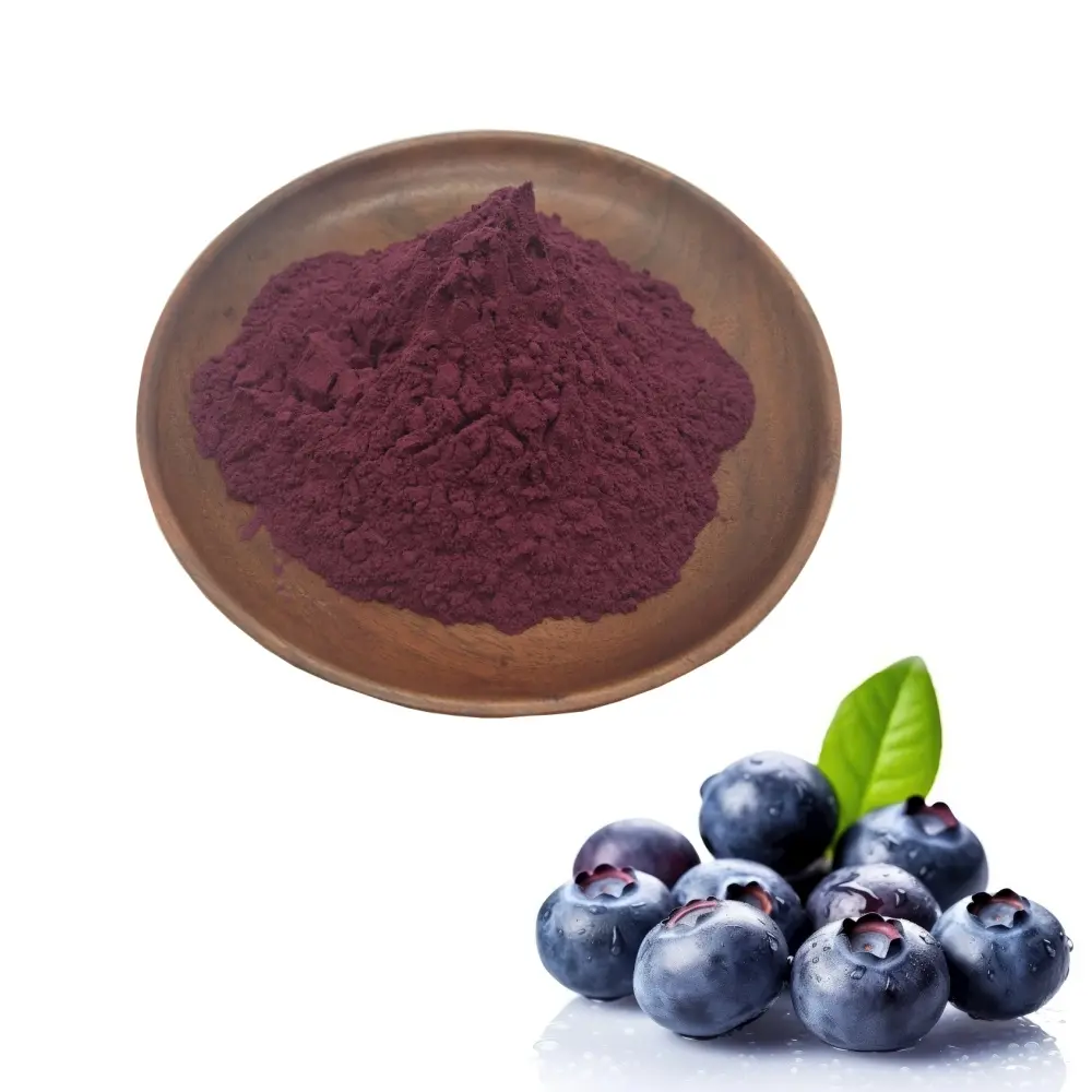 China Natural Blueberry Extract Powder Rich in Anthocyanins & Polyphenols for Functional Food & Beverage Supplier, Factory