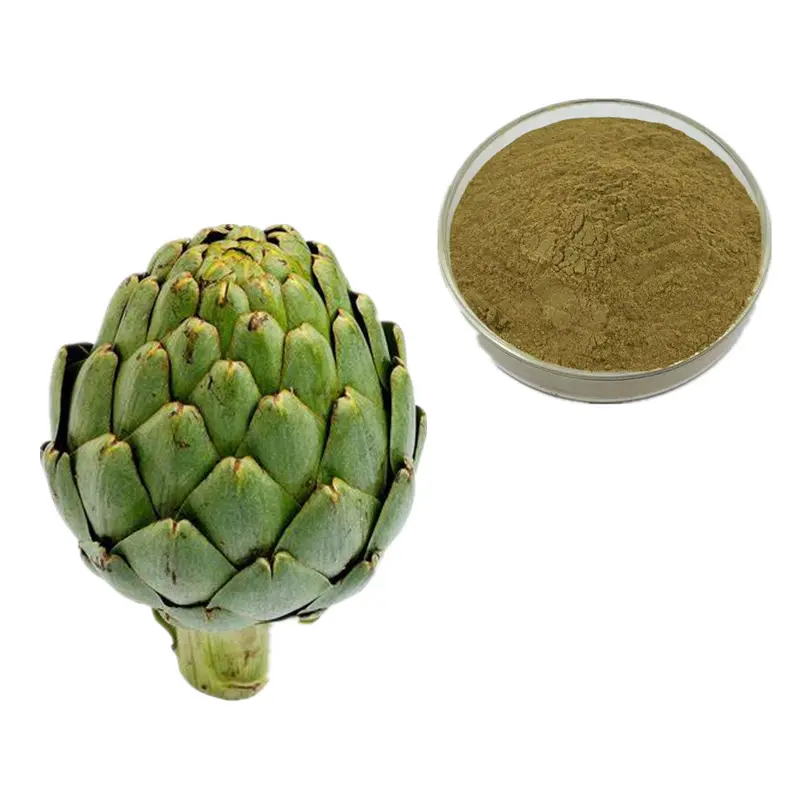 Best Natural Artichoke Leaf Extract Cynarin/Chlorogenic Acid Powder Cynara Scolymus Extract for Liver Protection Supplier, Factory