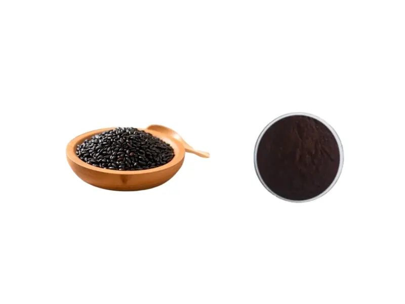 Best Factory Supply Anthocyanidin/C3G 1%-25% Black Rice Extract  for Immune-Boosting and Anti-Aging Manufacturer, Exporter