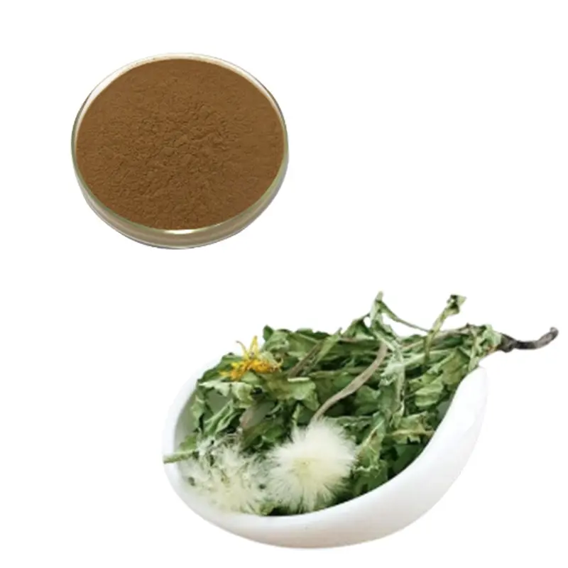 China 100% Natural Dandelion Extract Powder 1-10% Flavonoids from China Suppliers | Factory Quality Dietary Supplements Supplier, Exporters