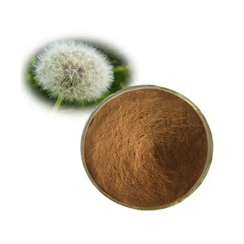 Best High Quality Taraxacum Officinale Extract, Dandelion Root Extract 1% Chicoric acid Power for Food Supplement Supplier, Suppliers