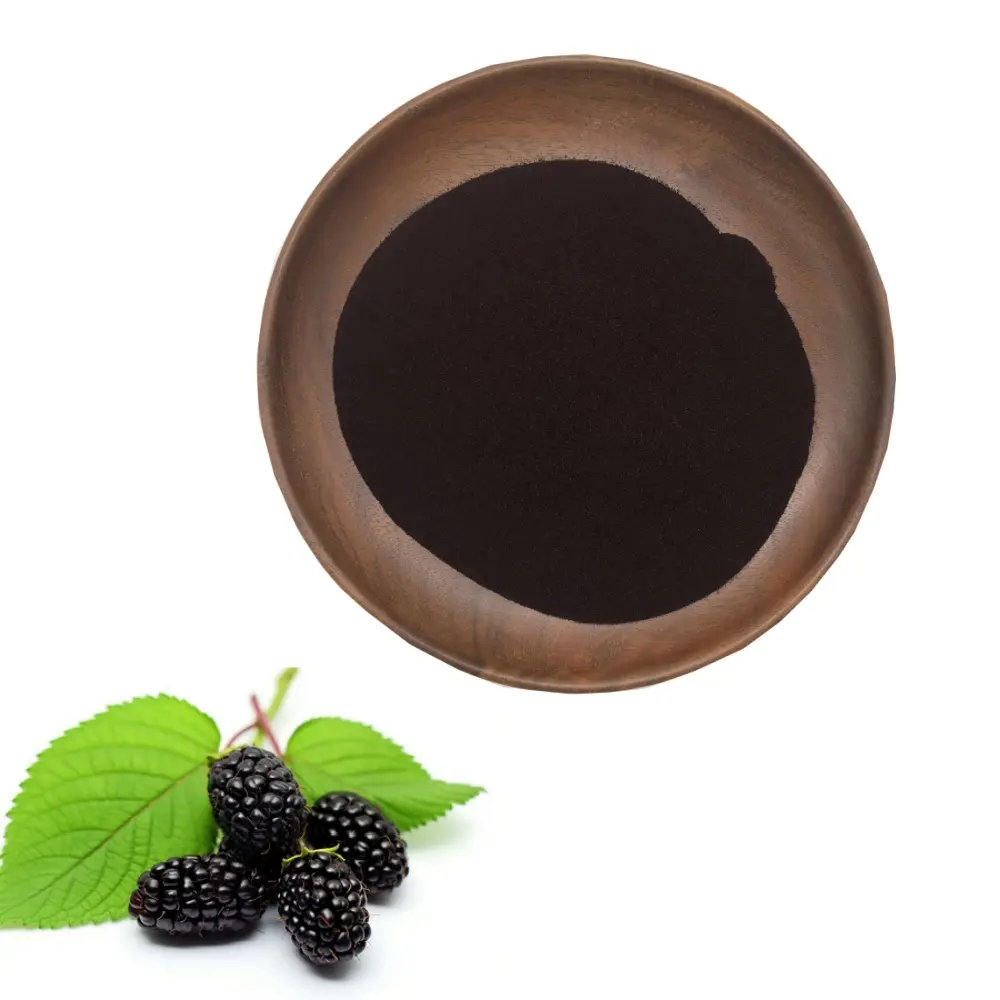 Best Premium China Mulberry Fruit Extract Powder - Anthocyanidins & Polysaccharides from Suppliers & Factory for Antioxidant Support Supplier, Factories
