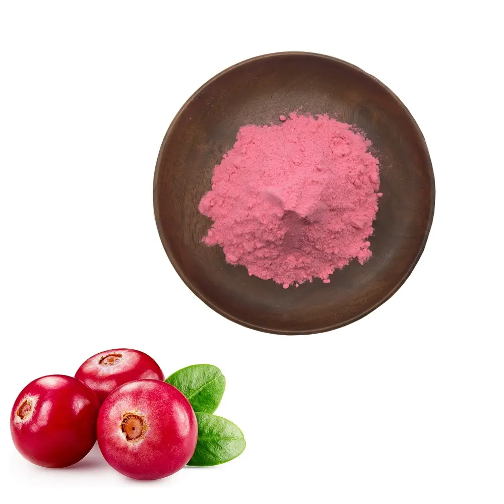 Wholesale Pure & Concentrated Cranberry Fruit Bulk Powder for Drink Factories, Exporters