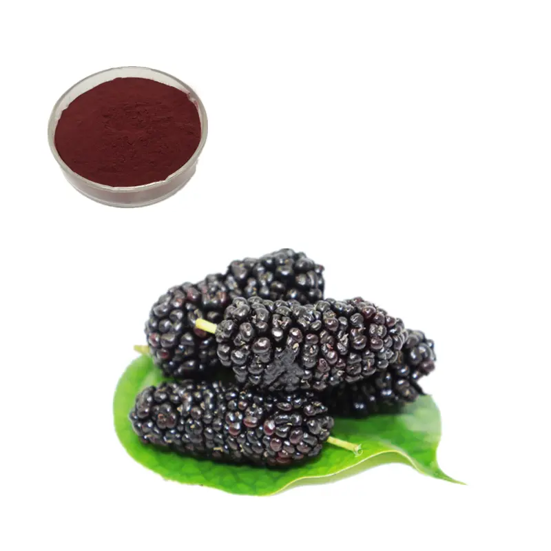 Best Premium Mulberry Fruit Water Soluble Powder Food & Beverage Bulk Raw Material Manufacturers, Supplier