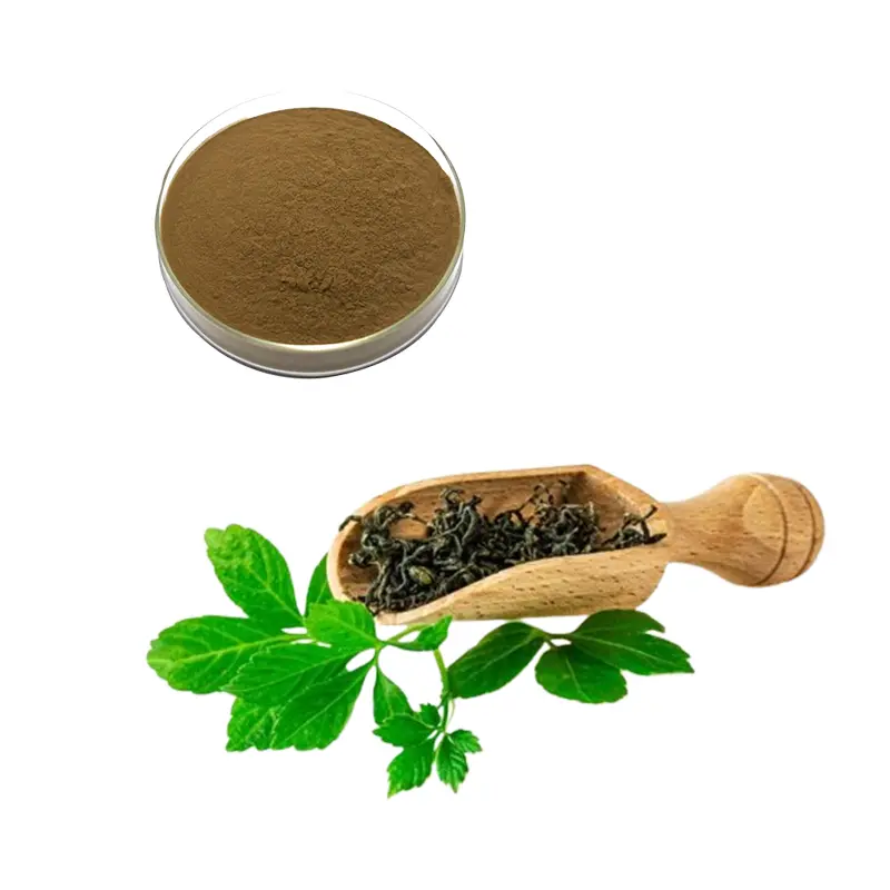 Best High Quality Gynostemma Extract Gypenosides 10%-98% Powder for Lower Blood Pressure Manufacturer, Exporters