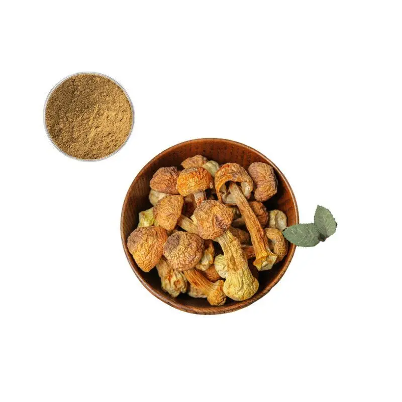 China Pure Natural Agaricus Blazei Murill Extract Polysaccharides Agaricus Blazei Extract 10%-50% Polysaccharides Powder for Health Manufacturers, Factories