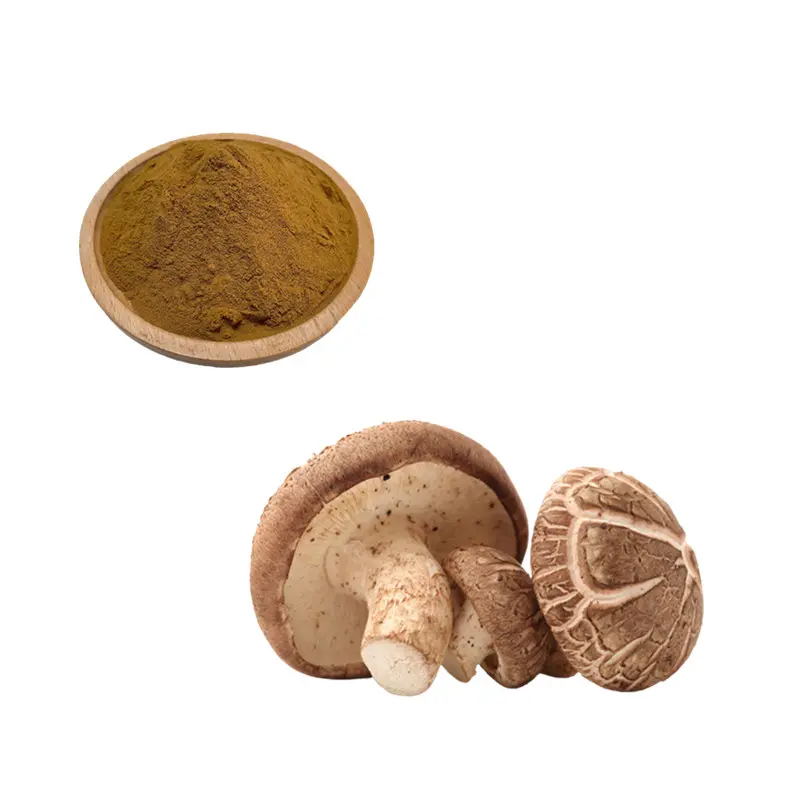 Wholesale Factory Supply Polysaccharides 10%-50% Lentinus Edodes Extract Powder Shiitake Mushroom Extract for Health Care Supplement Suppliers, Factory