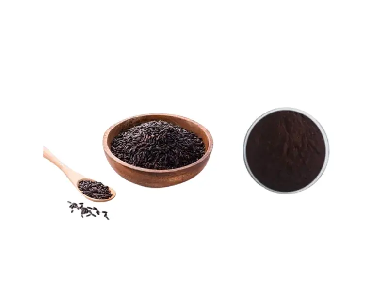 Best Factory Supply Anthocyanidin/C3G 1%-25% Black Rice Extract  for Immune-Boosting and Anti-Aging Manufacturer, Exporter