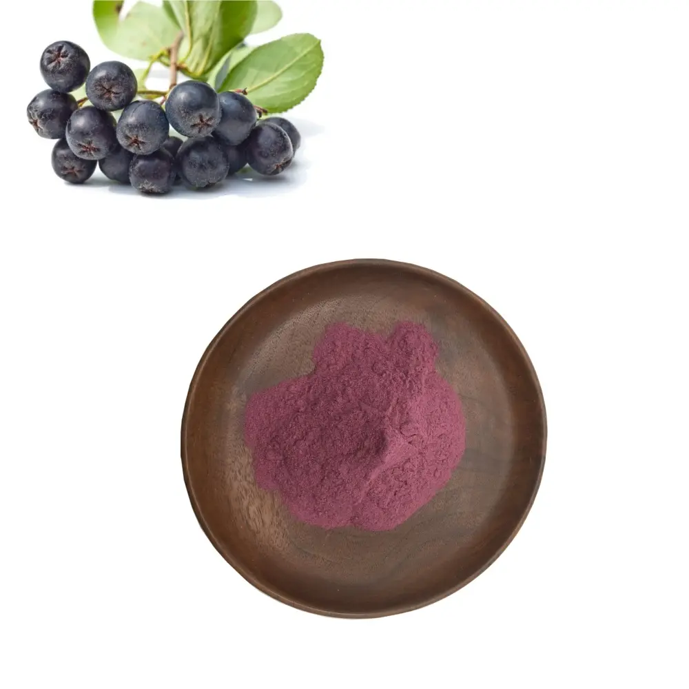 China High Concentrate Water Soluble Black Chokeberry Aronia Berry Powder for Food & Beverage Manufacturer, Supplier