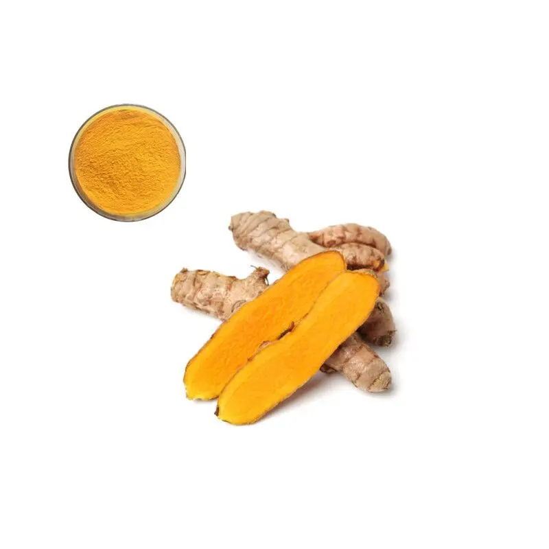 Best Premium 95% Curcumins Turmeric Root Extract Powder or Granule from China Suppliers and Factory for Health Benefits Supplier, Exporter