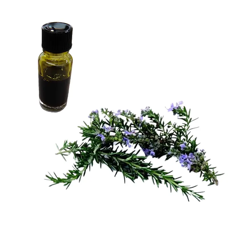 China Rosemary Essential Oil Factories, Factory