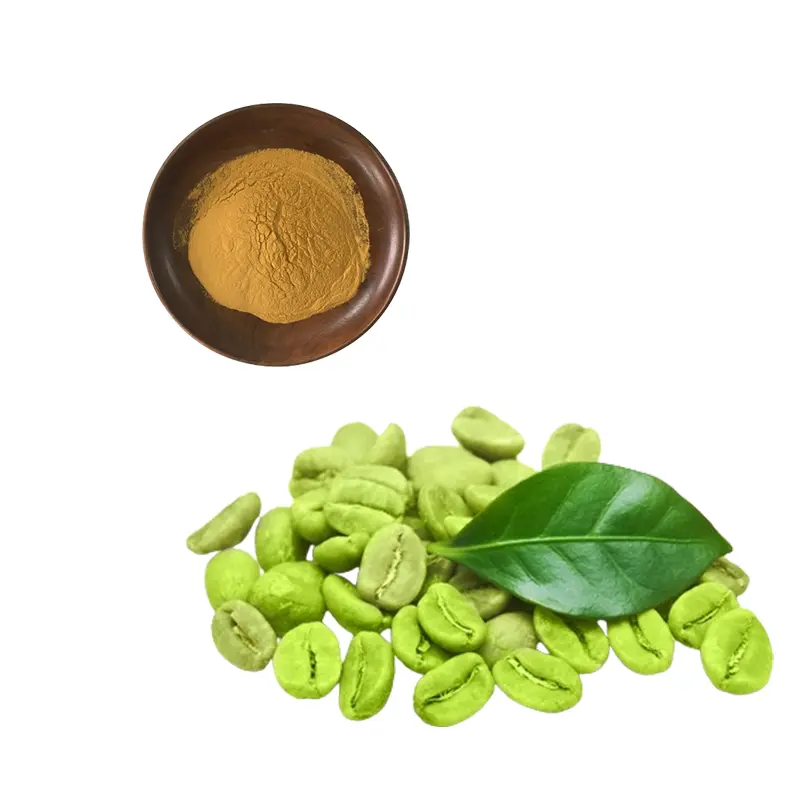 China Natural Green Coffee Bean Extract 10%~50% Chlorogenic Acids Powder for Losing Weight Suppliers, Exporters
