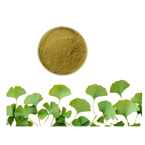 Best Pure Ginkgo Biloba Extract with Flavone glycosides&Terpene lactones Powder for Health Supplements Factories, Factory
