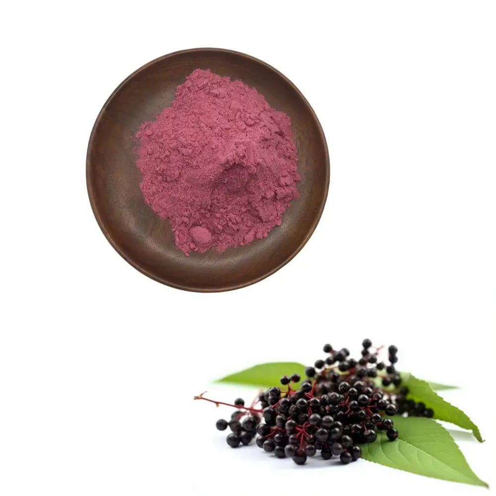 Best Food Grade Spray Dried Elderberry Fruit Water Soluble Powder for Food & Beverage Supplier, Factory