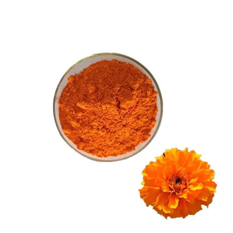 China Kosher Halar Certified Lutein Zeaxanthin Powder Marigold Flower Extract for Eye Health Manufacturer, Exporters