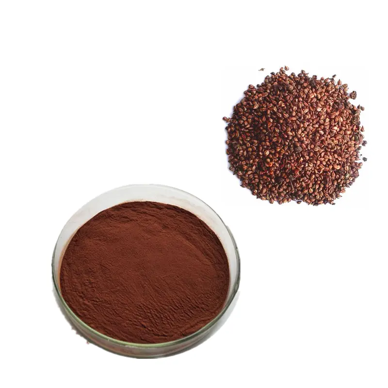 Wholesale Premium 95% Proanthocyanidins PACs Polyphenols OPC Grape Seed Extract Powder for Anti-Aging Manufacturer, Supplier