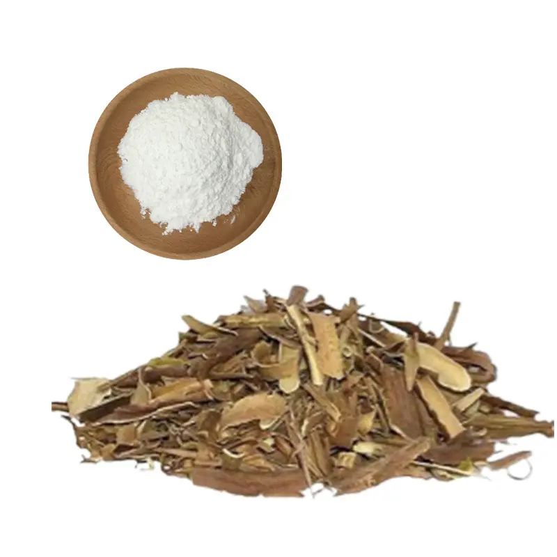 Best Factory 100%Natural Skin Care & Health Care Salicin CAS 138-52-3 White Willow Bark Extract Powder