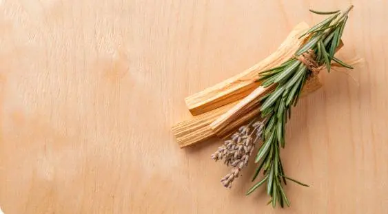 Rosemary Research 1