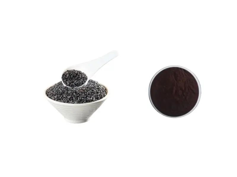 Black rice extract