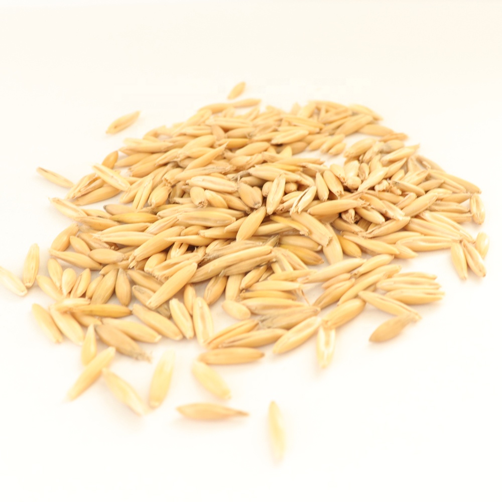 Factory Price Fats Carbohydrates and Proteins Is Perfectly Maintained Oat Grain