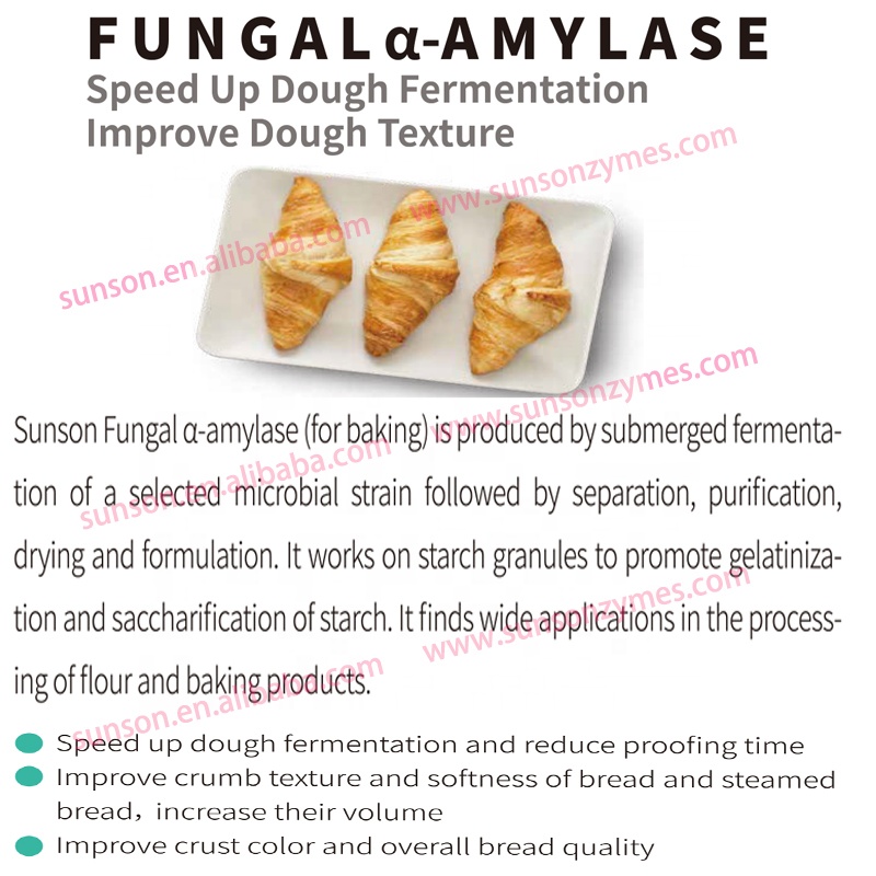 Food Grade Powder Fungal Alpha Amylase Enzyme For Bakery Industry